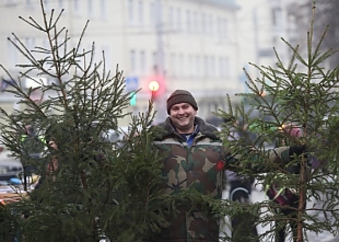 Спрос на елки. Более 30 тысяч новогодних елок уже купили белорусы