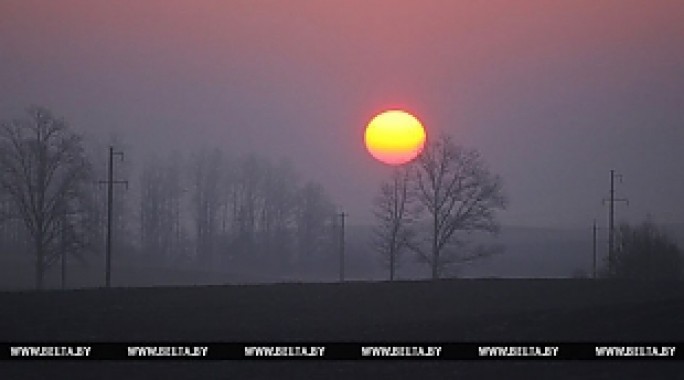 До 7 градусов тепла ожидается в Беларуси 26 декабря