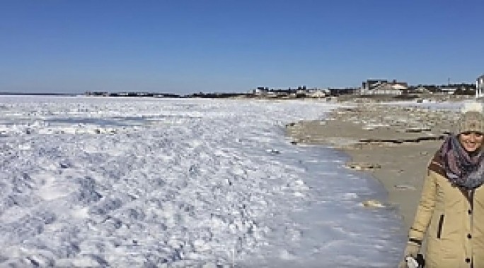 Океан замерз. Житель США снял удивительное видео