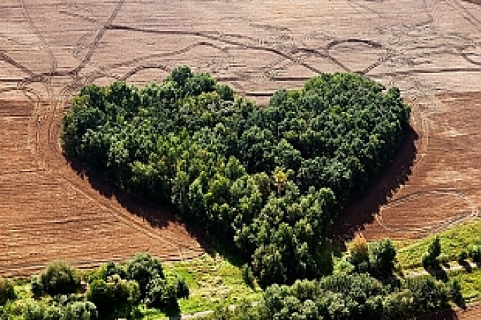 «Сердце гродненской земли» в Минске. В столице открылась фотовыставка Александра Лосминского