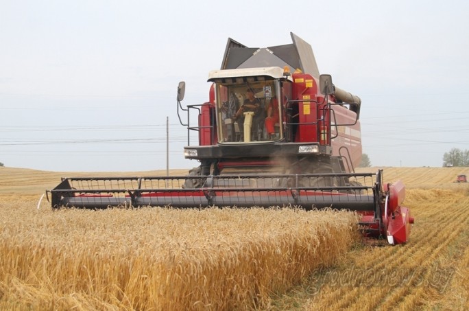 Государственная аграрная политика совершенствуется в Беларуси. Президент Беларуси Александр Лукашенко подписал указ №50