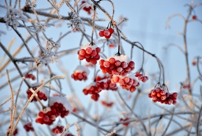 До 18 градусов мороза ожидается в Беларуси 6 февраля
