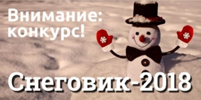 Чей снеговик лучше? Выберем вместе победителей областного фотоконкурса «Снеговик - 2018»
