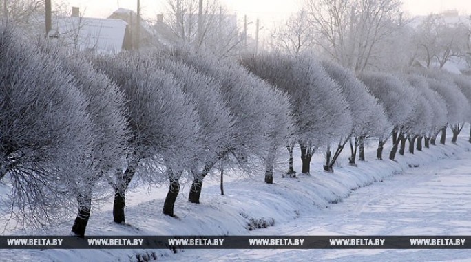 В выходные дни в Беларуси потеплеет