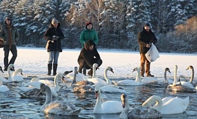К концу недели морозы в Беларуси ослабеют
