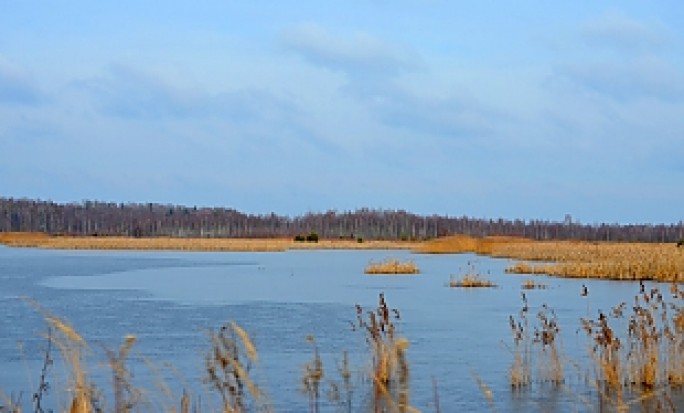 На яхте по озеру. В республиканском ландшафтном заказнике «Озеры» откроются четыре туристических маршрута