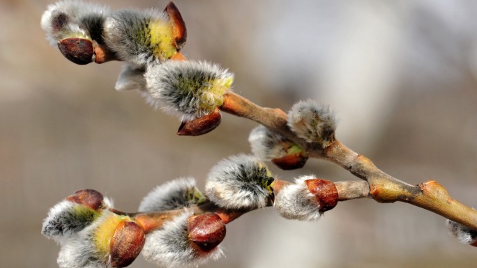 В Беларуси в выходные немного потеплеет