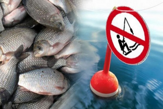 Запрещенные места  в сроки запрета на лов всех видов рыбы  с 1 апреля по 30 мая