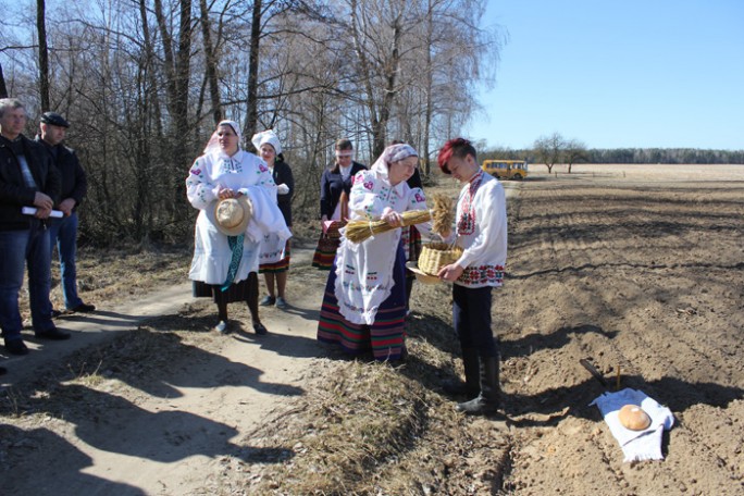 Дан старт. На Мостовщине провели 'Засевки'