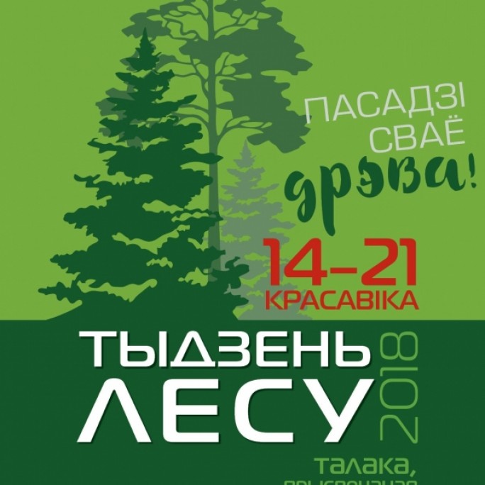 Расти большой! В Неделю леса на Гродненщине высадят порядка четырех миллионов деревьев