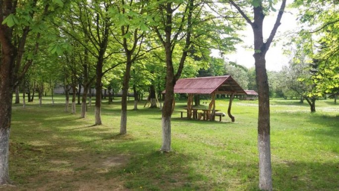 Сезон активности клещей