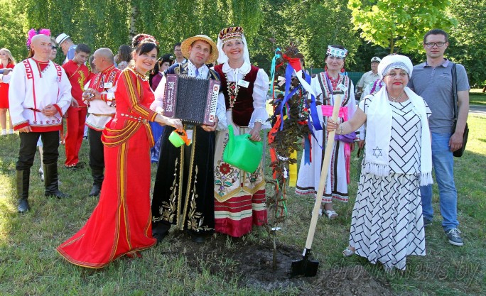 Дерево «счастья», пурпурный бук и «королева» магнолий: Аллея дружбы в Коложском парке подросла