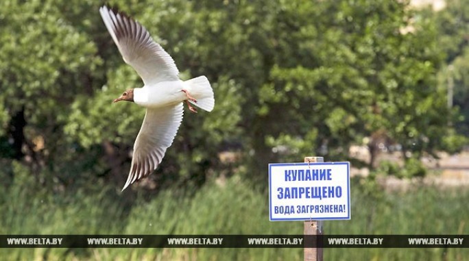 В Беларуси ограничено купание в водоемах восьми зон отдыха