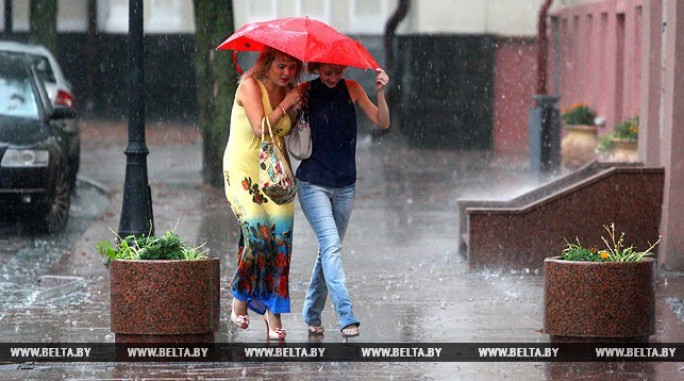 Дожди и грозы ожидаются в Беларуси 14 июня
