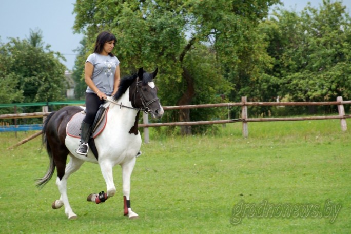 Конкур, тракененские лошади и конь-нянька: как под Лидой работает конно-спортивная школа