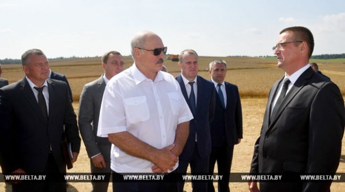 'Чтобы собрать до зернышка' - Лукашенко ждет от аграриев максимум напряжения во время уборочной
