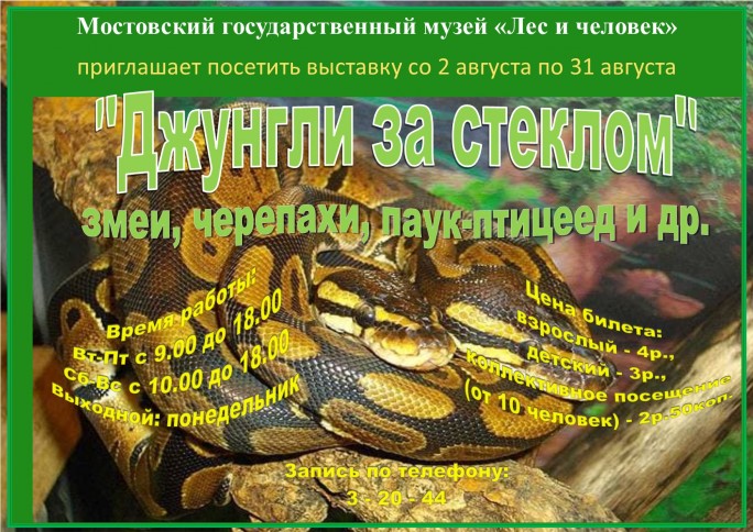 УК «Мостовский государственный музей «Лес и человек» со 2 по 31 августа приглашает посетить выставку «Джунгли за стеклом»