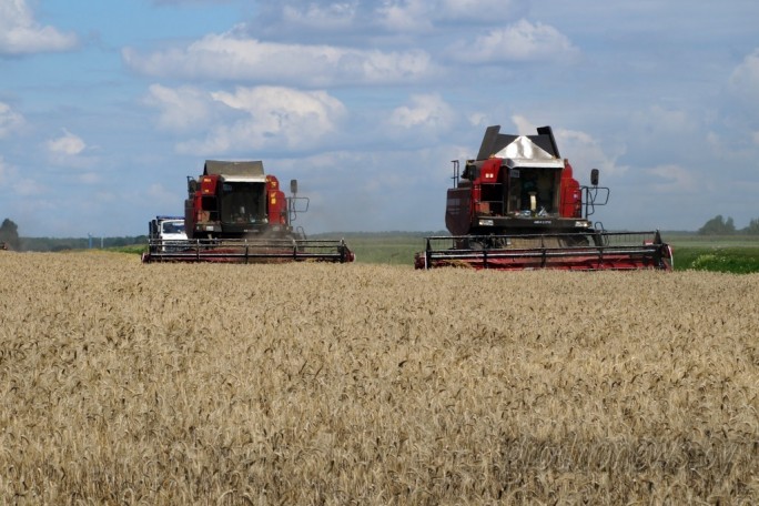На Гродненщине 167 комбайновых экипажей намолотили по тысяче и более тонн зерна