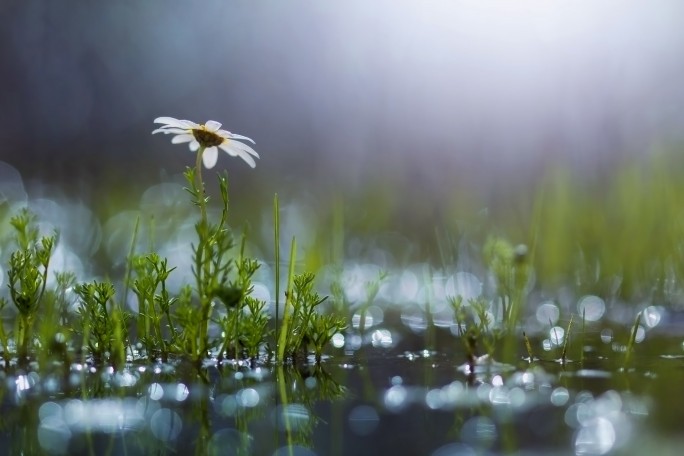 Кратковременные дожди прогнозируются в Беларуси 12 августа