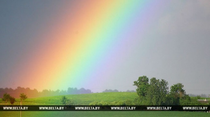 Тепло и дождливо будет в Беларуси на этой неделе