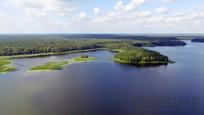 Реликтовый карп, 6000 королевских монет и 84-летняя рыбачка. Эксклюзив проекта «Гродненщина синеокая»