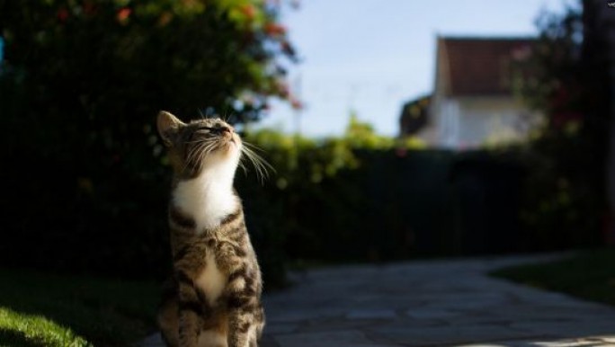 Теплая и сухая погода ожидается в Беларуси на этой неделе