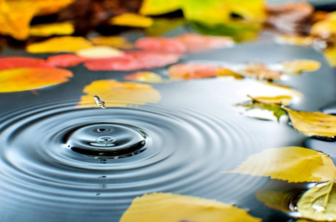 До +26°С и дожди ожидаются по юго-востоку Беларуси 13 сентября