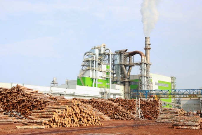 ОАО «Мостовдрев» 90 лет: масштабная модернизация, торговый дом в Варшаве и экспорт в десятках стран