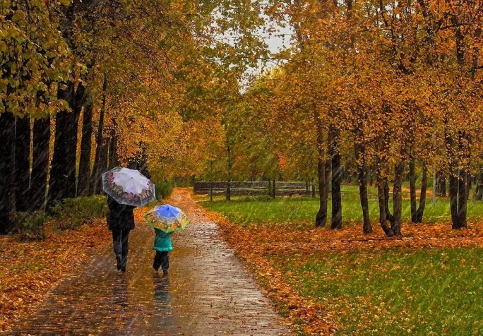 Дожди и до +26°С - о погоде в Беларуси 22 сентября