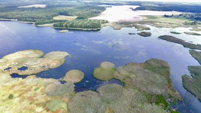 Проект 'Гродзенскай праўды' 'Гродненщина синеокая'. Как река Зельвянка крутит турбины и разливается в море