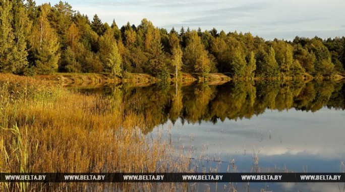 В Беларуси на неделе будет прохладная погода с дождями, к выходным потеплеет