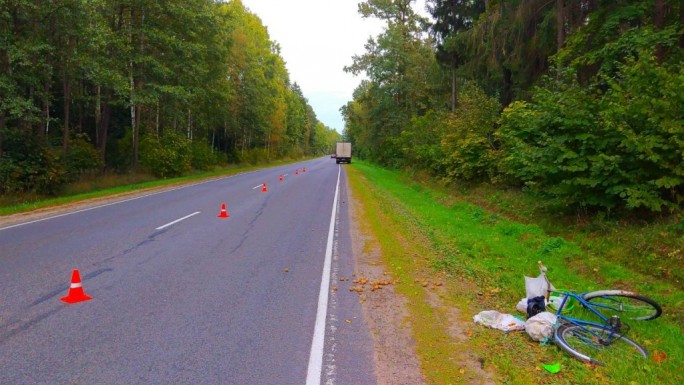 Под Мостами грузовик зацепил зеркалом велосипедиста: мужчину выбросило с дороги