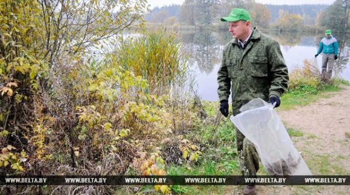 Акция 'Чистый лес' проходит в Беларуси