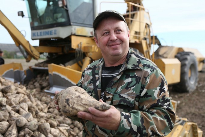 Гродненская область – лидер в республике по урожаю сахарной свеклы