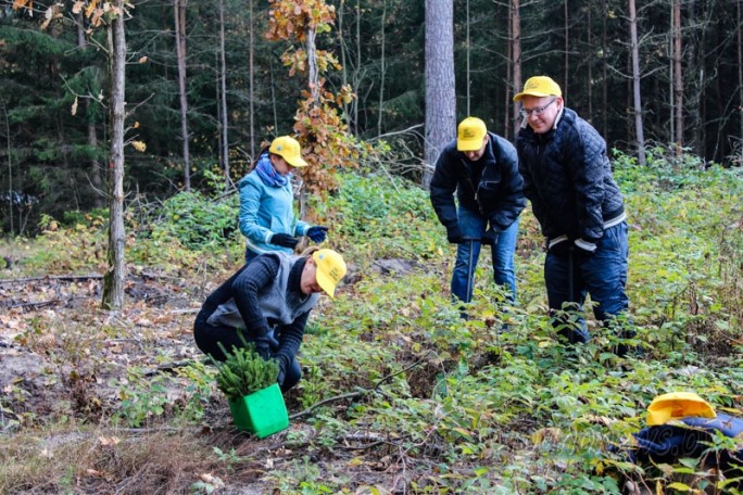 Жители Гродненщины присоединилась к акции «Чистый лес»