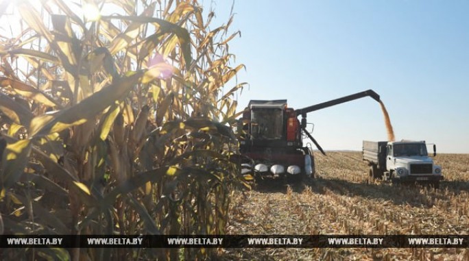 Лукашенко установил аграриям дедлайн на 7 ноября для завершения осенних работ