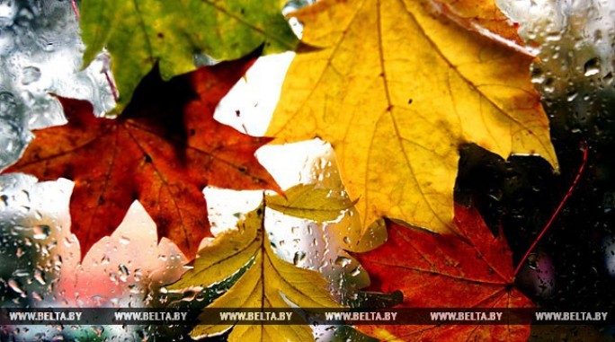 Оранжевый уровень опасности из-за сильных дождей объявлен в Беларуси 29 октября