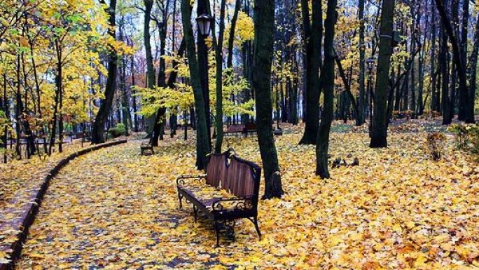 До +13°С ожидается в Беларуси 7 ноября
