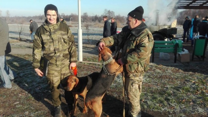 Бигли, белорусские гончие и шурпа. На «Дажінках» в Ивье открыли выставку охотничьих собак