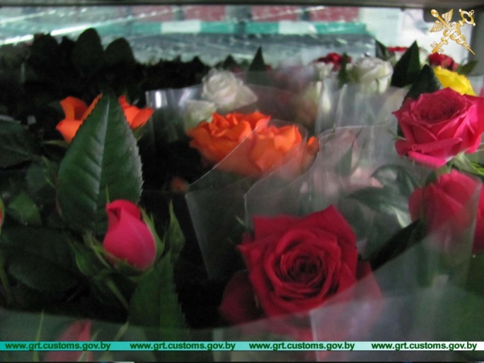 Гродненские таможенники шесть раз задерживали нелегальные цветы на белорусско-польской границе