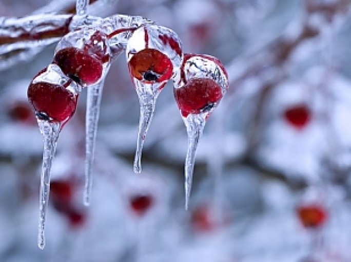 До 13 градусов мороза будет в Беларуси 28 ноября