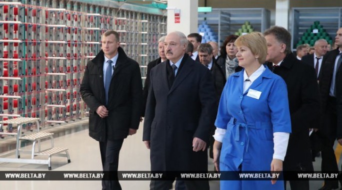 Александр Лукашенко требует большей отдачи и эффективности в льняной отрасли
