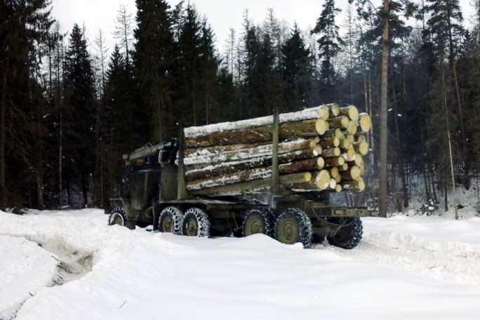 Вывозка древесины