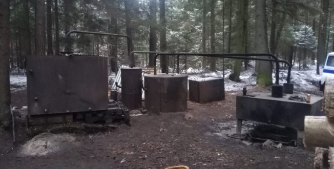 В Беловежской пуще у местного жителя изъяли более 4 000 литров браги: мужчина готовился к свадьбе сына