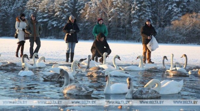 Снег и до -11°С ожидаются в Беларуси 5 января