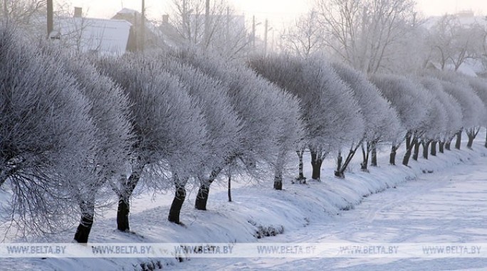 До 18 градусов мороза и гололедица будут в Беларуси 8 января