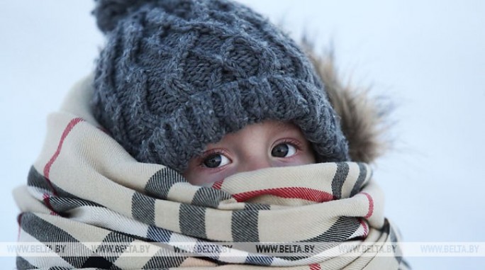 До 23 градусов мороза ожидается в Беларуси ночью 24 января