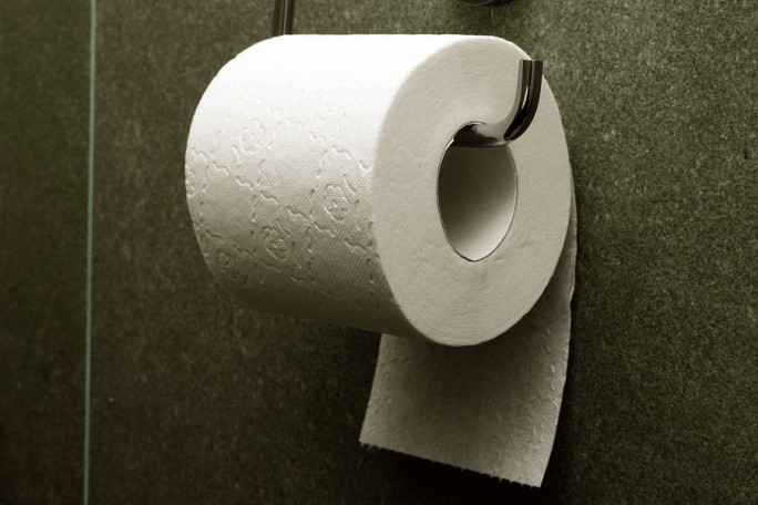 В Германии призывают отказаться от туалетной бумаги
