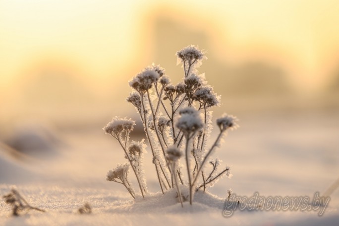 Похолодание и гололедица - Белгидромет о погоде на неделю