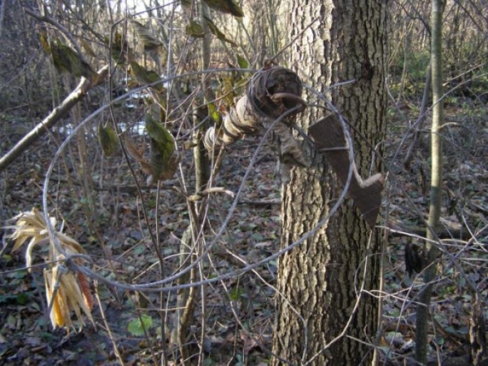 В Мостовском районе браконьер поймал беременную косулю. Зверь запутался в металлической петле